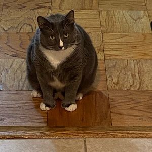 Meet your Posher, Tashema